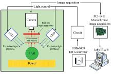 Schematic diagram of fluorescence imaging system[32]