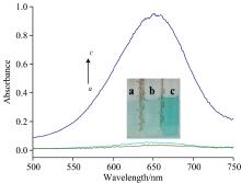 UV-Visible absorption spectra of feasibility experiment; Inset is the typical photograph of the corresponding curvea: TMB-H2O2; b: TMB-Cu2+; c: TMB-H2O2-Cu2+; cTMB=6×10-4 mol·L-1; cCu2+=8×10-3 mol·L-1; cH2O2=1×10-5 mol·L-1
