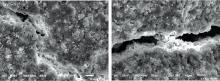 The SEM images of the coatings with different mass ratios of PDMS to HYSZ(a): 1∶9; (b): 3∶7