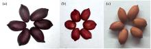 Samples of peanut seed coats with different colors(a): Black purple peanut kernels; (b): Red peanut kernels; (c): Pink peanut kernels