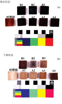 Pictures of waterlogged (a) and dried (b) artificially degraded waterlogged wood samplesA1: 20% NaOH impregnation (3 d); A2: 20% NaOH impregnation (5 d); A3: 20% NaOH impregnation (7 d); A4: 20% NaOH impregnation (14 d); B1: Water-hydrothermal method; B2: 1%NaOH-hydrothermal combined method; B3: 1%NaOH-vacuum impregnation-hydrothermal combined method