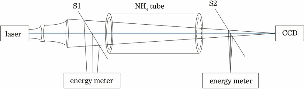 Diagram of experimental system