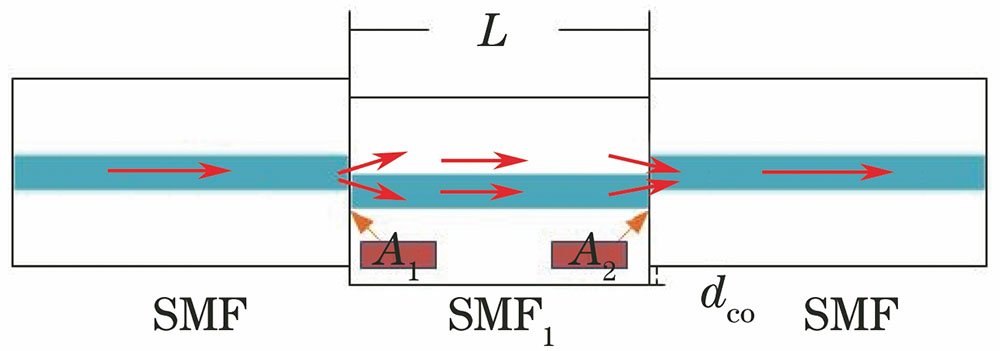 Structure of optical fiber sensor and optical signal transmission(offset: dco=6 μm,SMF1 length: L=4 cm)
