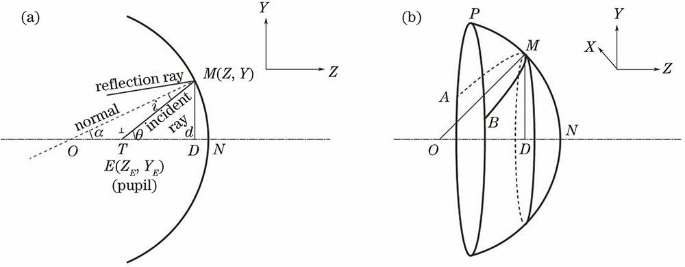Principle of astigmatism. (a) 2D schematic diagram; (b) 3D schematic diagram