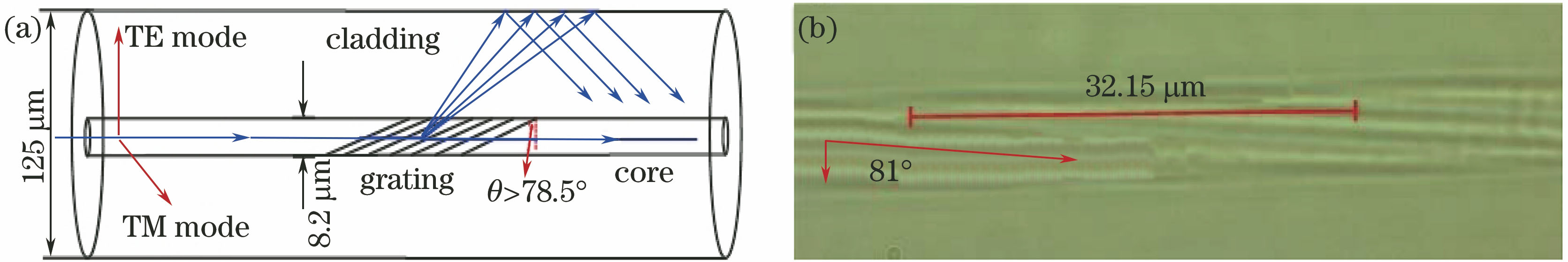 (a) Light coupling mechanism of 81°-TFG; (b)micrograph of the tilted fringe in core region of 81°-TFG