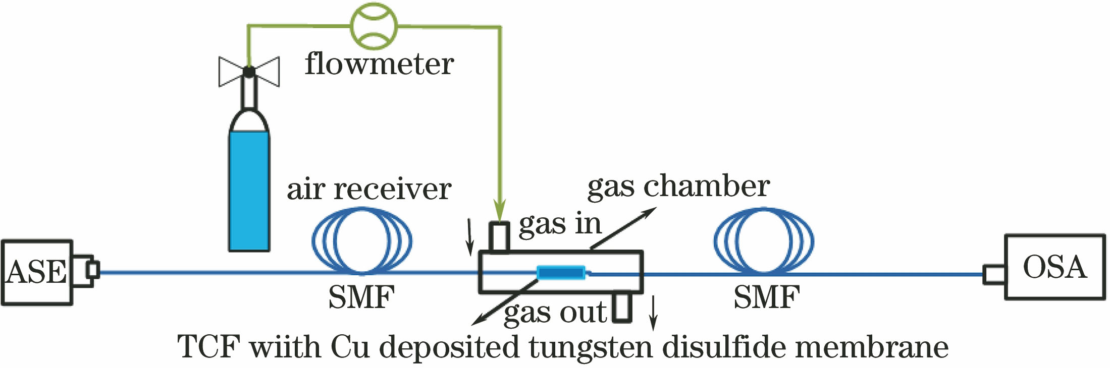 Schematic of optical fiber gas sensor