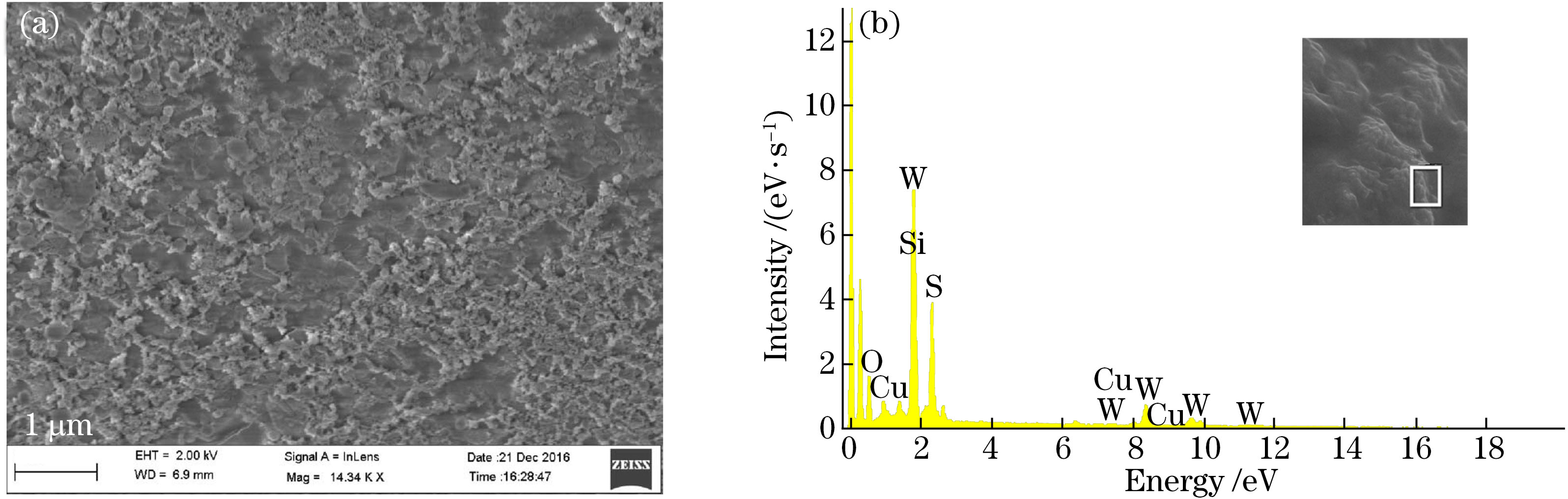 (a) SEM image of the side surface of the thin-core fiber coated with Cu-deposited WS2 film; (b) EDX image for Cu-deposited WS2-coated fiber