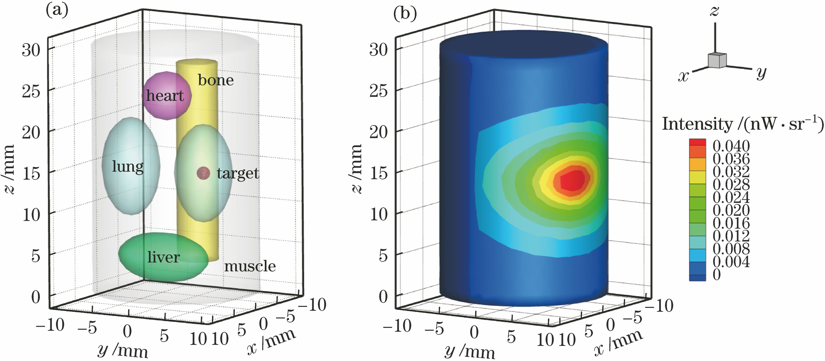 (a) Model of non-homogeneous cylinder phantom; (b) surface optical information