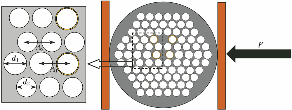 Diagram of cross section structure of dual-core PCF transverse-stress sensor based on SPR