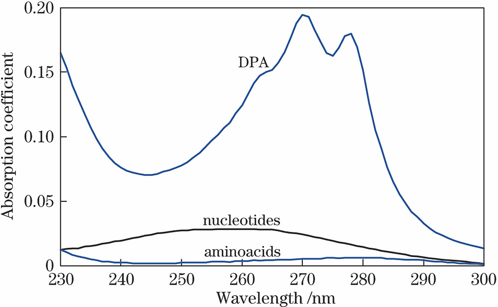 Absorption coefficients of total nucleic acid, chromophoric amino acid, and dipicolinic acid in bacterial microorganism[13]