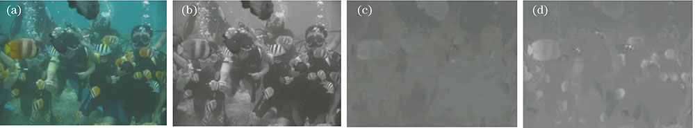 Maping underwater color image to lαβ three channels. (a) Original image; (b) l channel; (c) α channel; (d) β channel