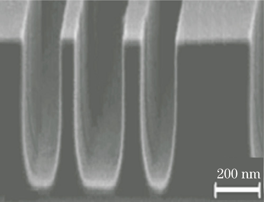 SEM image of the reflector