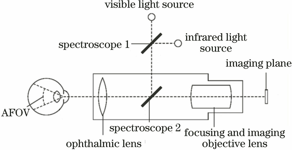 Optical system structure of the fundus camera