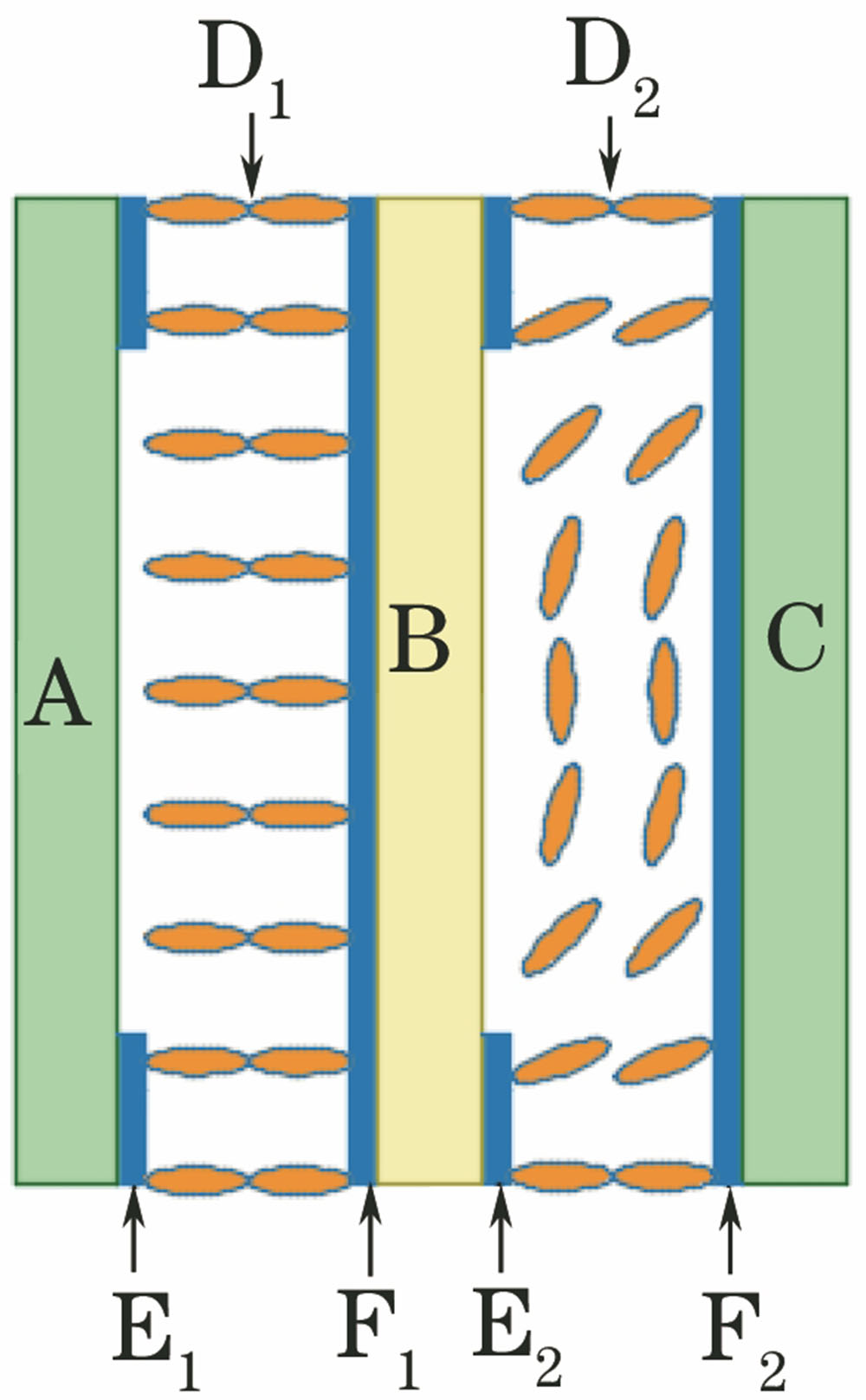 Profile of double structure liquid crystal lens