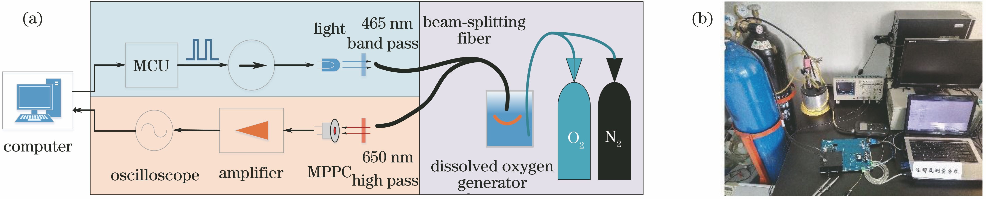 Time-domain fluorescence lifetime dissolved oxygen measurement system. (a) Schematic diagram; (b) picture of real products