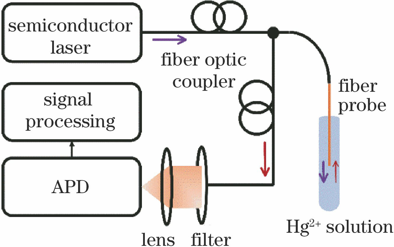 Schematic of the optical fiber sensor