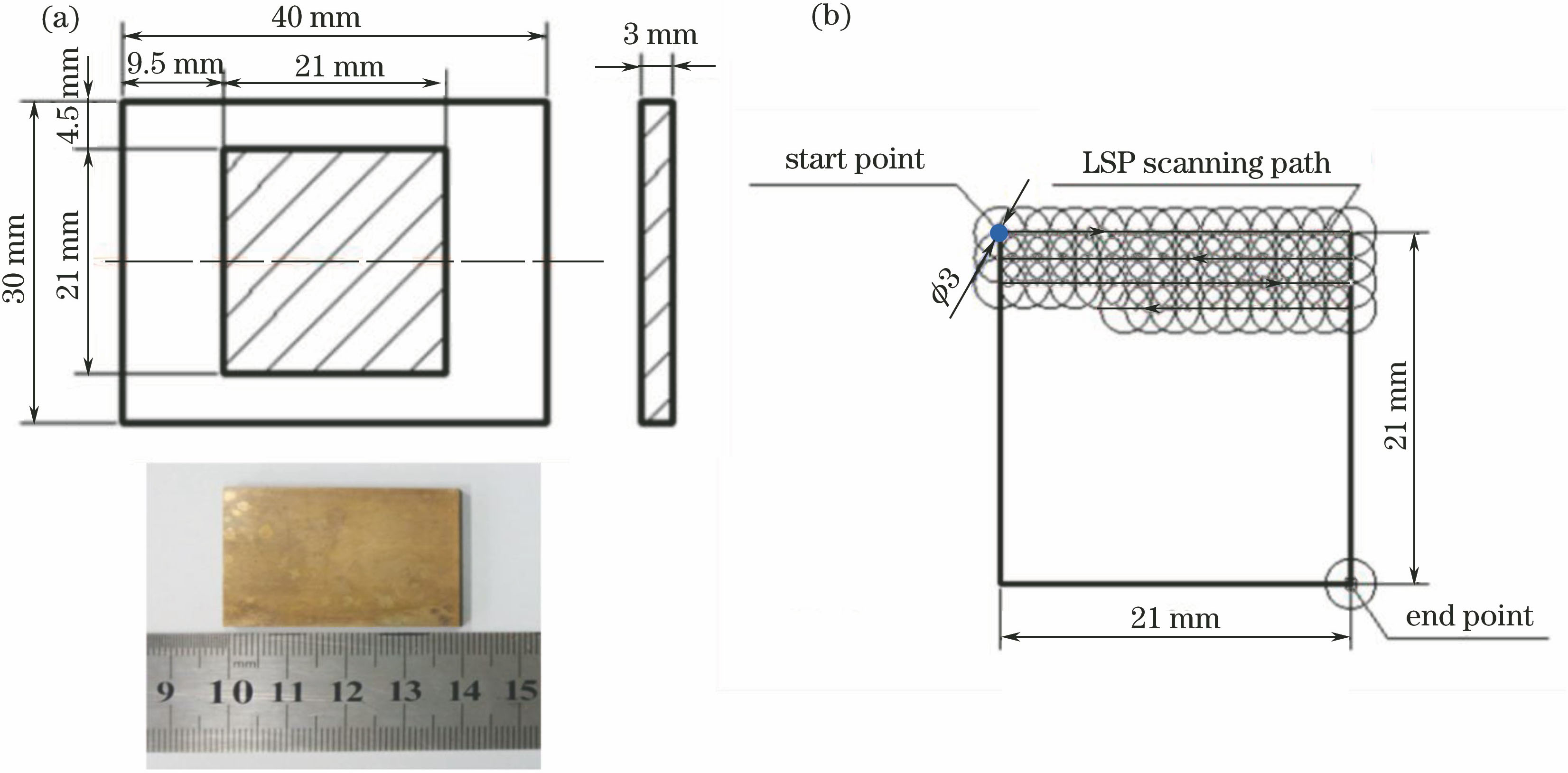 LSP sample. (a) Dimension; (b) laser scanning path for impact area