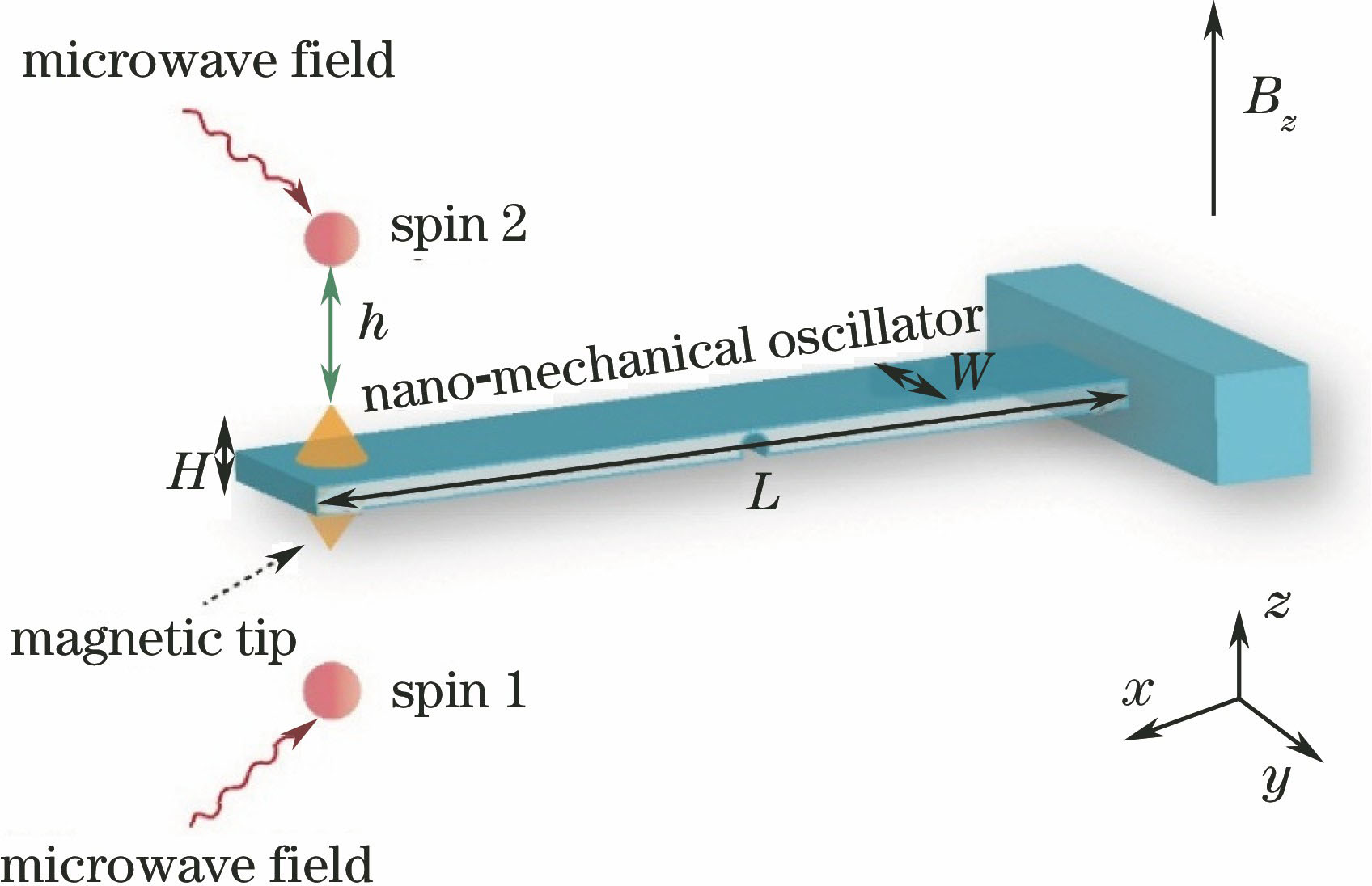Schematic of coupling between double electric spins and nano-mechanical harmonic oscillator