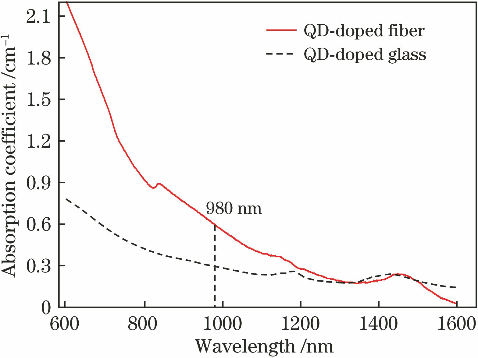 Absorption spectra of PbSe QD-doped glass and fiber and wavelength-dependent absorption coefficient