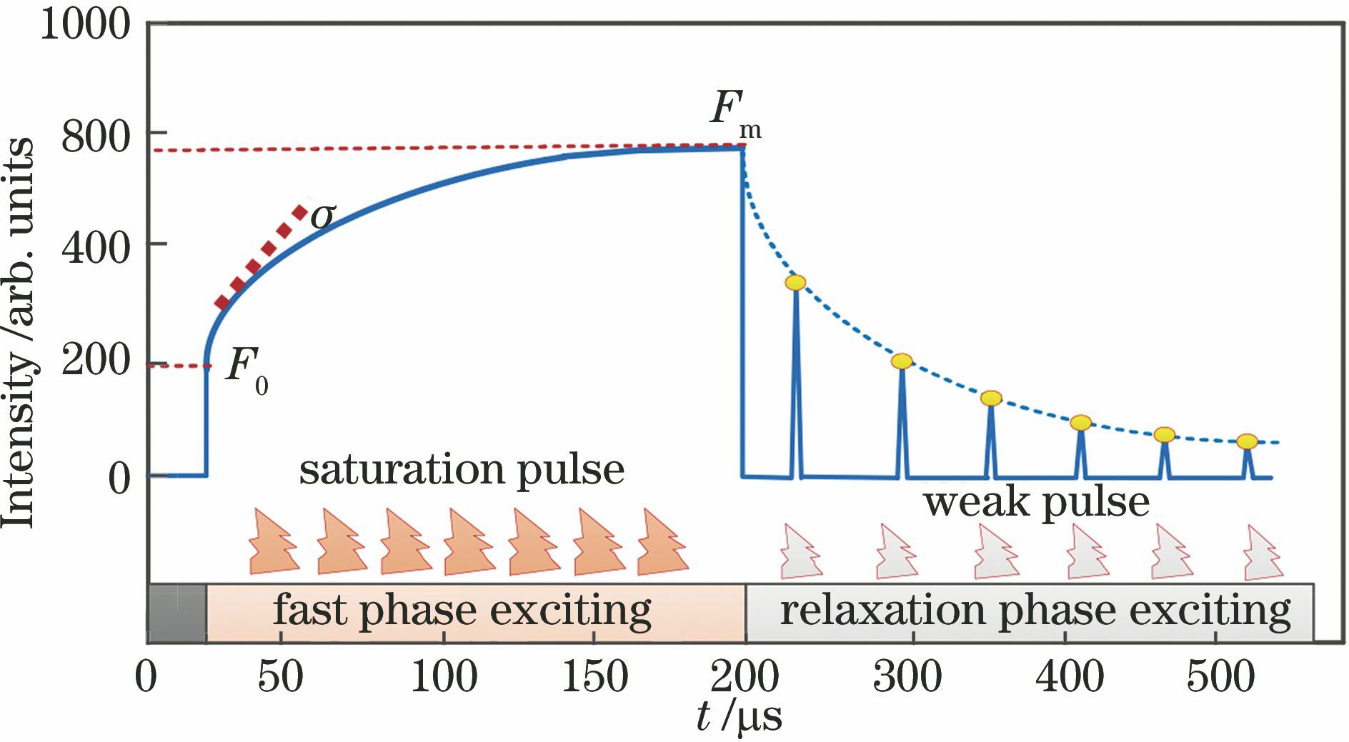 Fluorescence kinetic curve inversion of fluorescence parameters