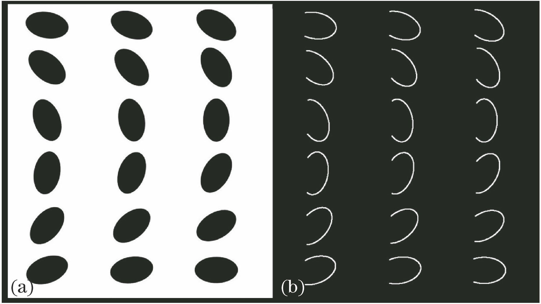 Simulated images. (a) Complete ellipses; (b) fragmental ellipses