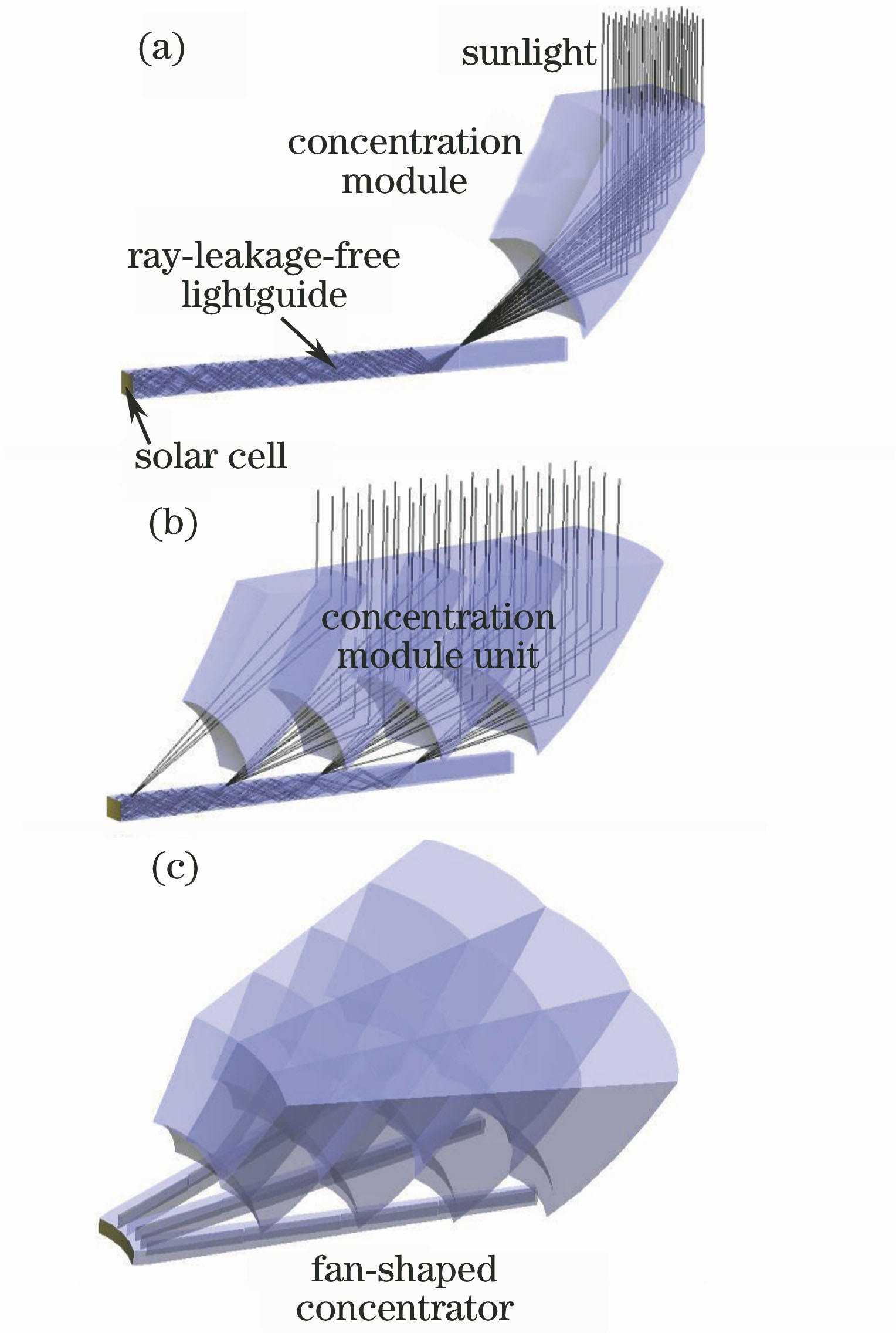 (a) Ray tracing of a concentration module; (b) ray tracing concentration modules unit; (c) schematic of fan-shaped ray-leakage-free solar concentrator structure