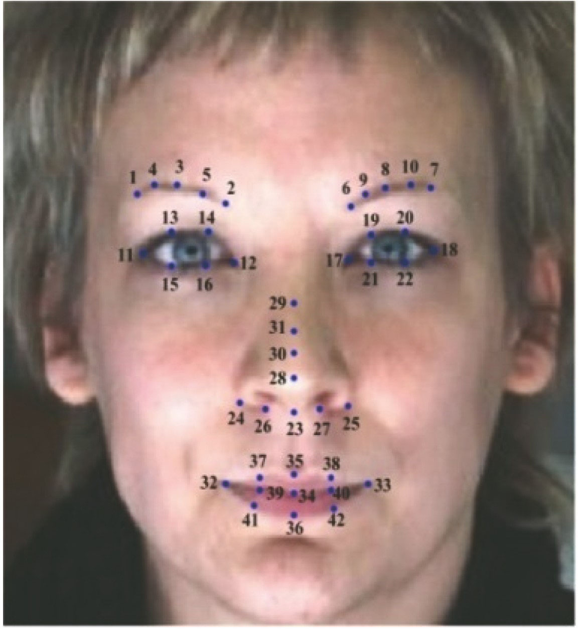 Annotation order of 42 facial feature points