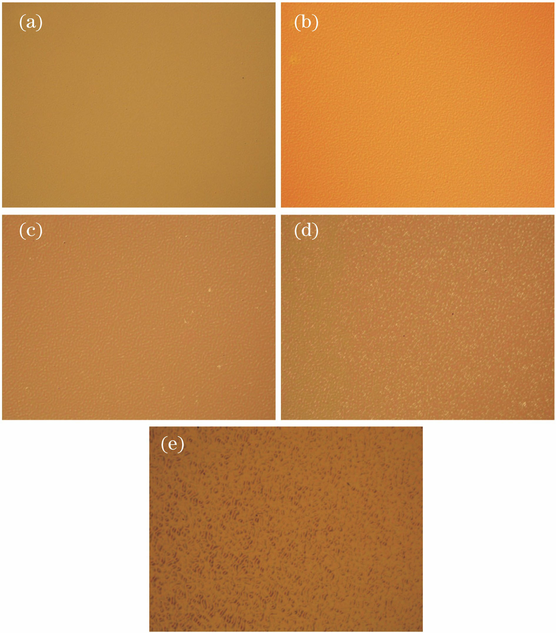 Surface morphologies of WO3 films with different mixture ratios. (a) Sample 1; (b) sample 2; (c) sample 3; (d) sample 4; (e) sample 5