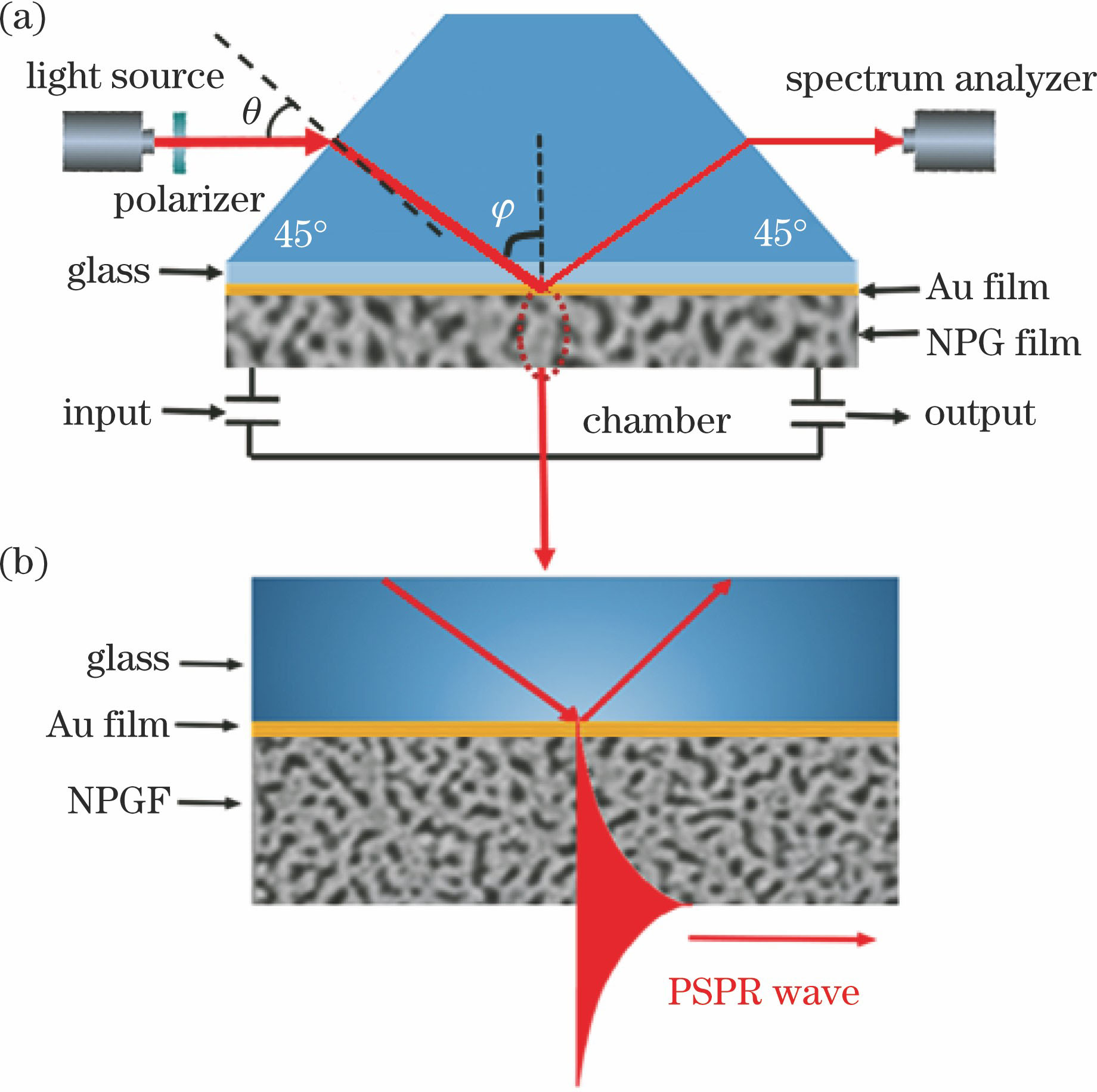 (a) Schematic diagram of the wavelength-interrogated SPR sensing device based on Kretschmann structure; (b) schematic diagram of the PSPR on the NPGF/air interface