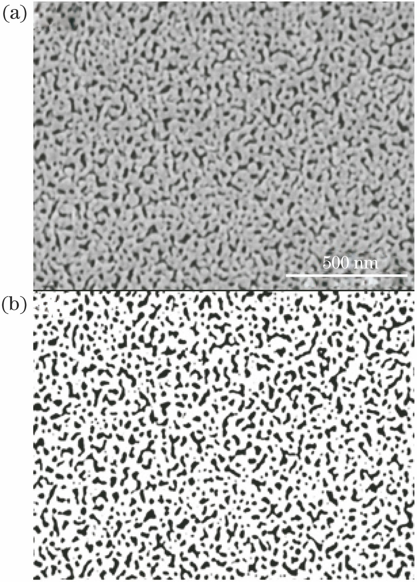 (a) SEM image of the NPGF; (b) black-white image obtained after automatical threshold processing of the SEM image with the Image J software