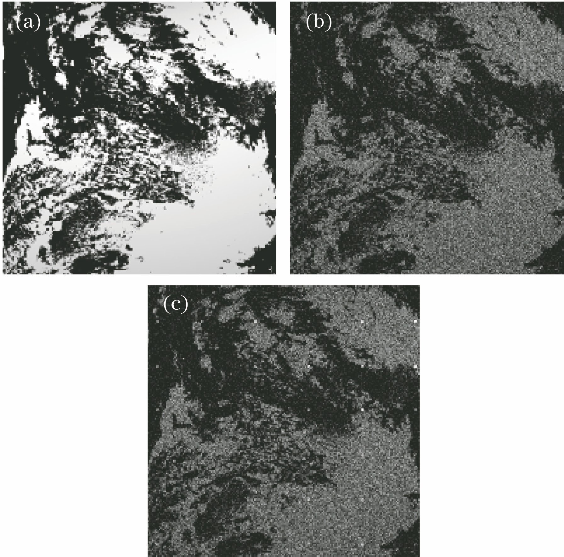 Synthetic infrared images. (a) Infrared background template; (b) synthetic infrared gray background image; (c) synthetic infrared gray image containing target