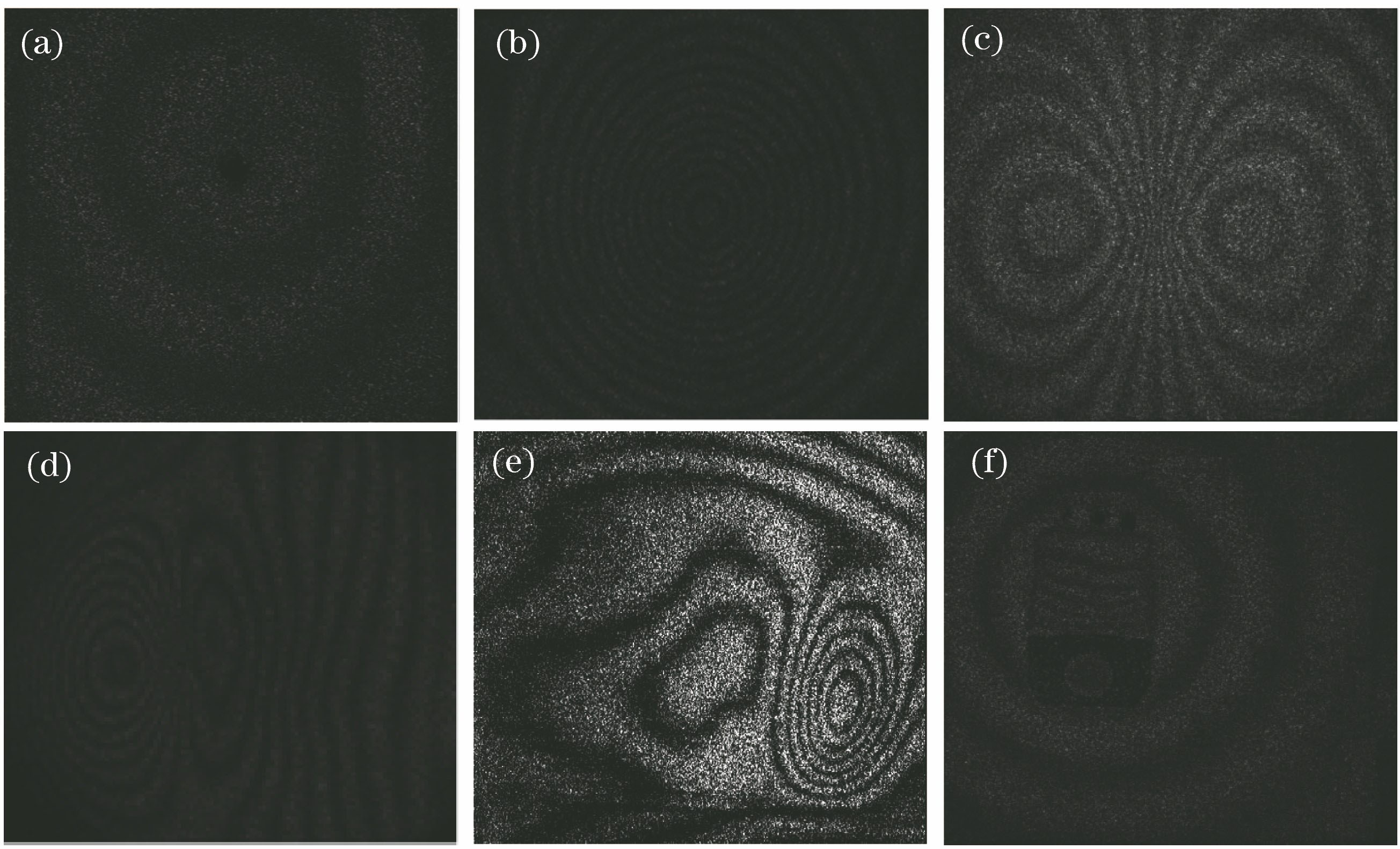 ESPI fringe images with various densities obtained in experiment. (a) Low-density fringe image; (b) high-density fringe image; (c)-(f) variable-density fringe images