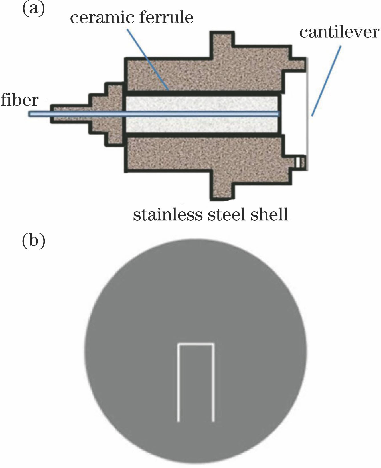 Structural diagrams of (a) fiber-optic F-P microphone probe and (b) cantilever