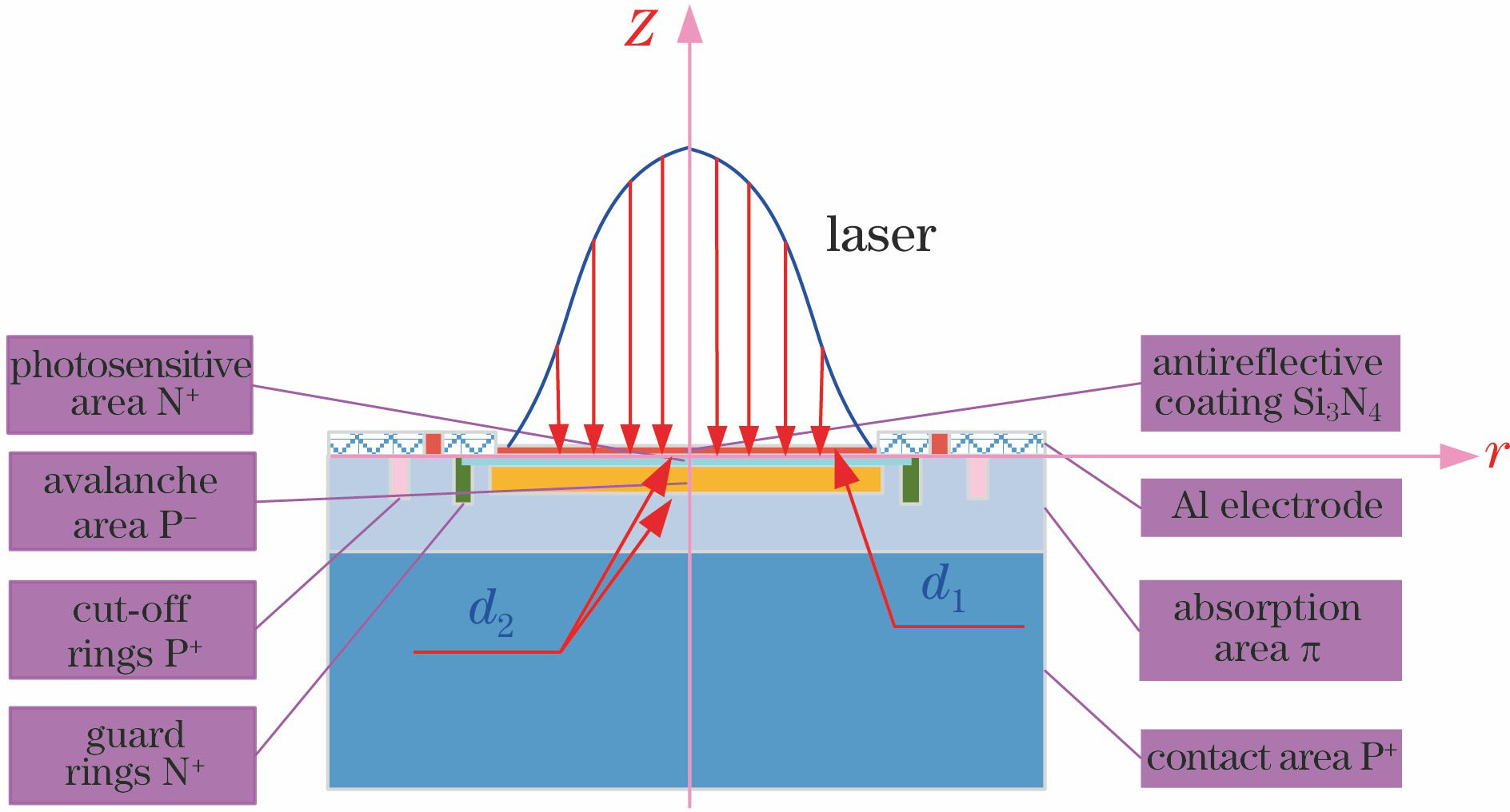 Theoretical model of Si-APD irradiated by long-pulse laser