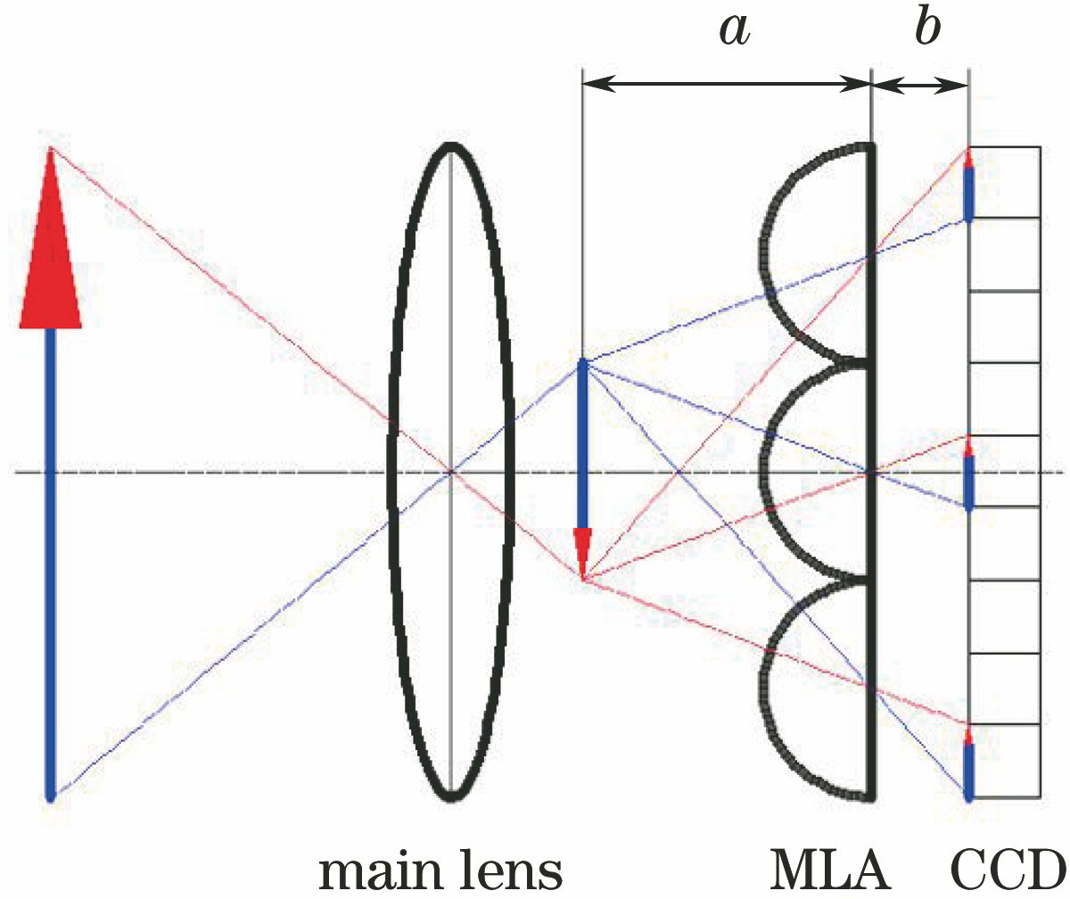 Optical path of focused light field system