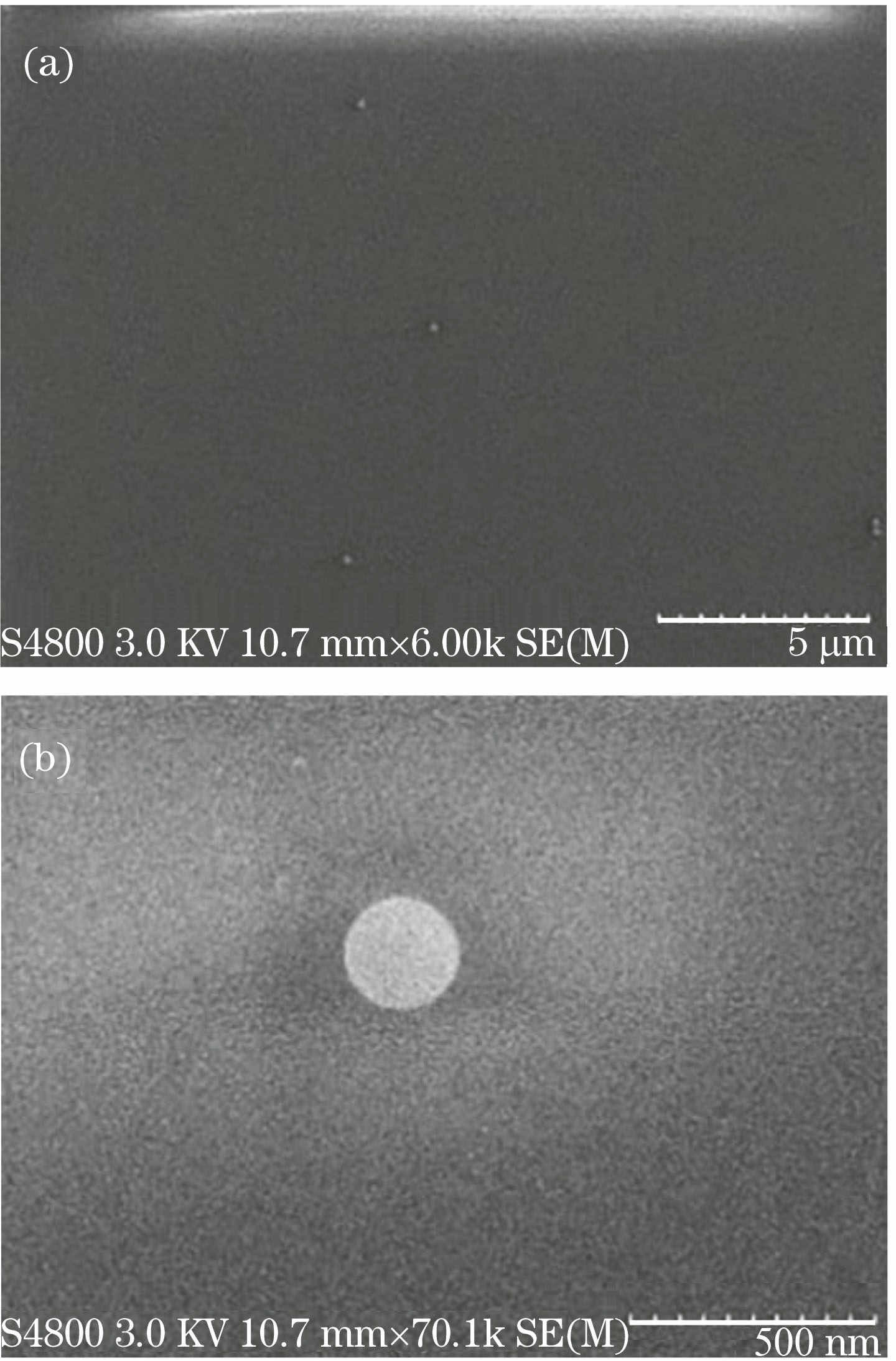 (a) SEM image of 200 nm polystyrene nanoparticle distribution; (b) SEM image of single nanoparticle