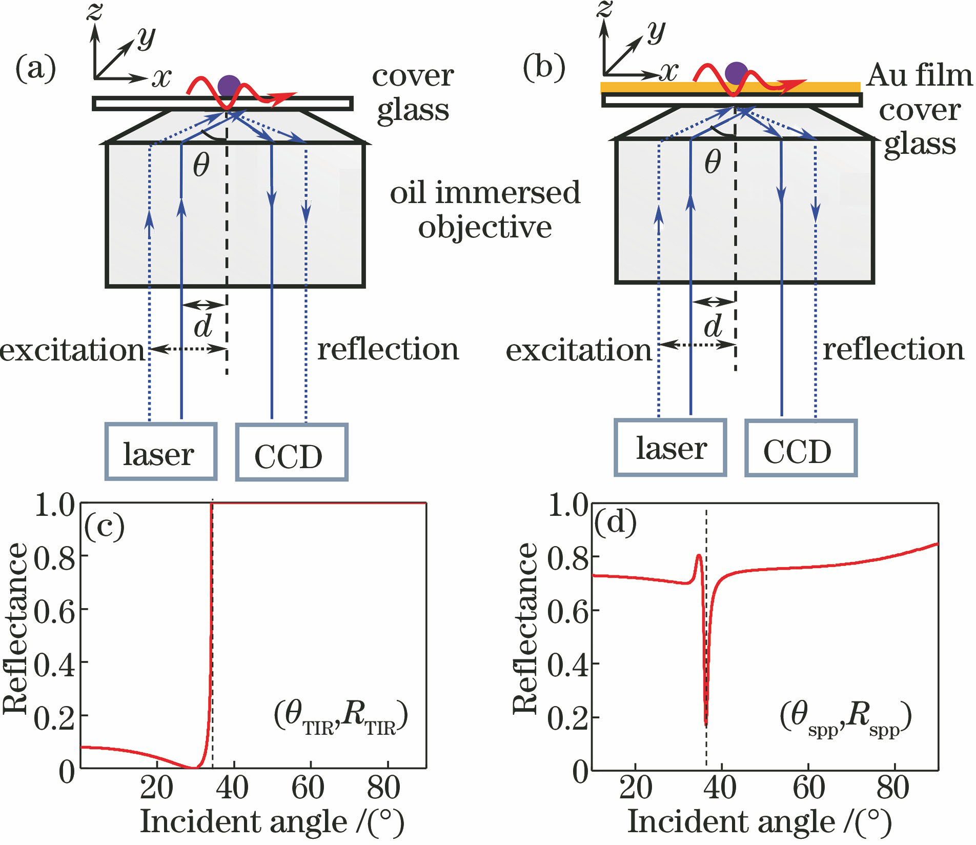 (a) Schematic of imaging setup based on TIR evanescent wave excitation; (b) schematic of imaging setup based on SPPs excitation; (c) variation of TIR reflectance with incident angle; (d) variation of SPPs reflectance with incident angle