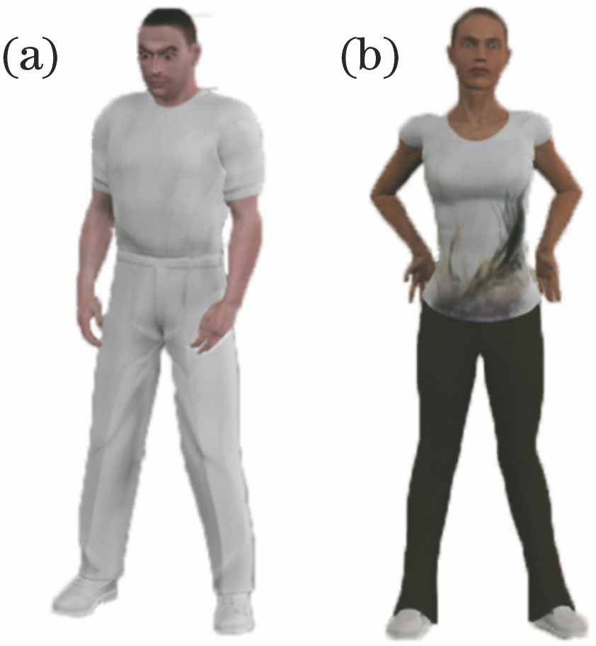 (a) Template image and (b) test image of POSER 3D simulation samples