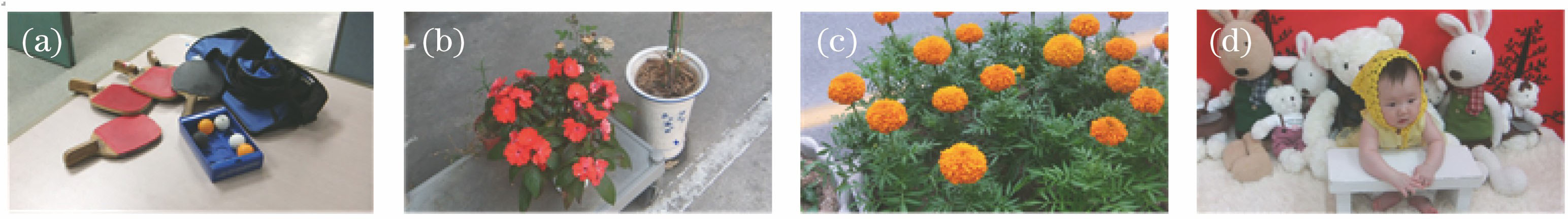 Four original stereoscopic images.(a) Ball; (b) plant; (c) flower; (d) baby