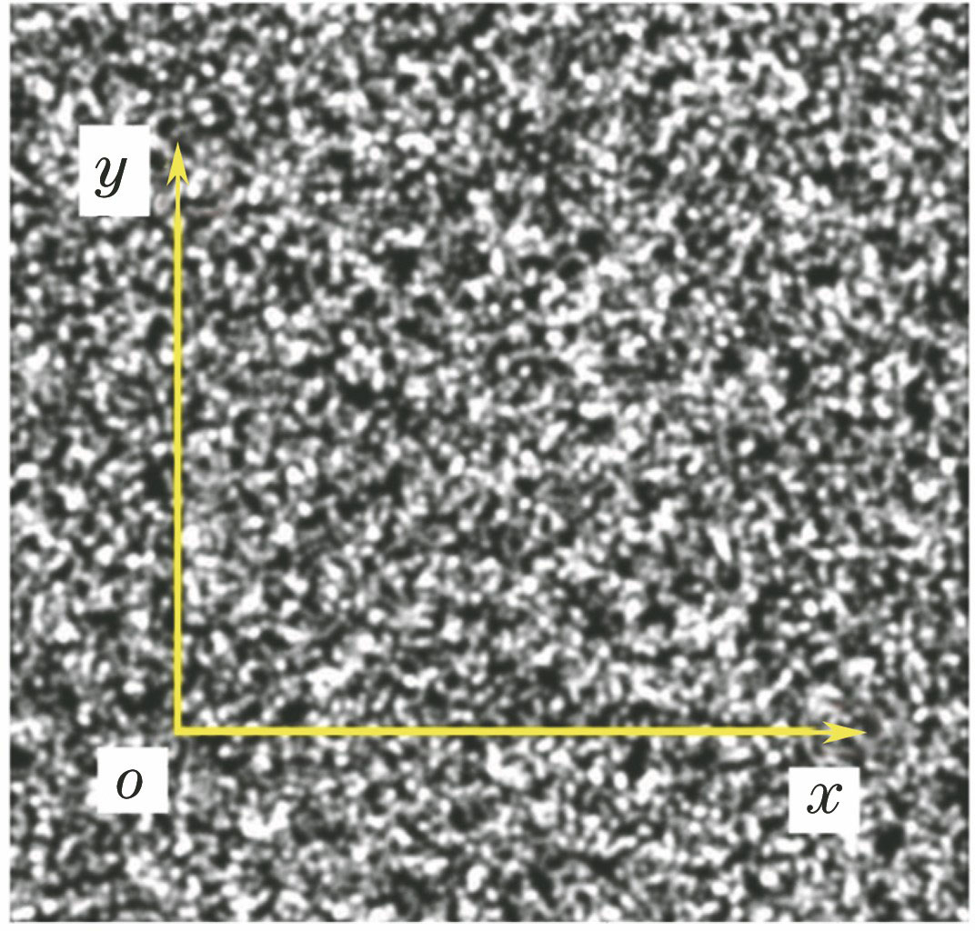 Numerical simulation of speckle image