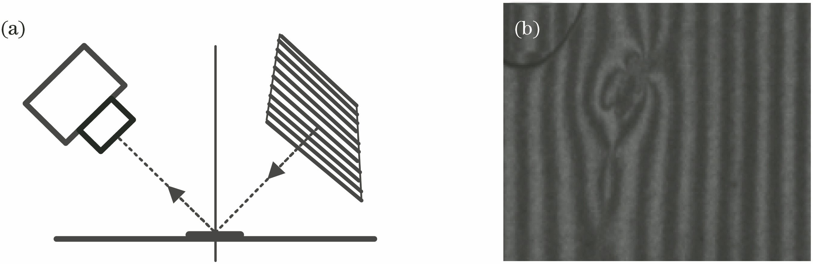 (a) Schematic drawing of reflection stripe detection device; (b) diagram of distortion stripes