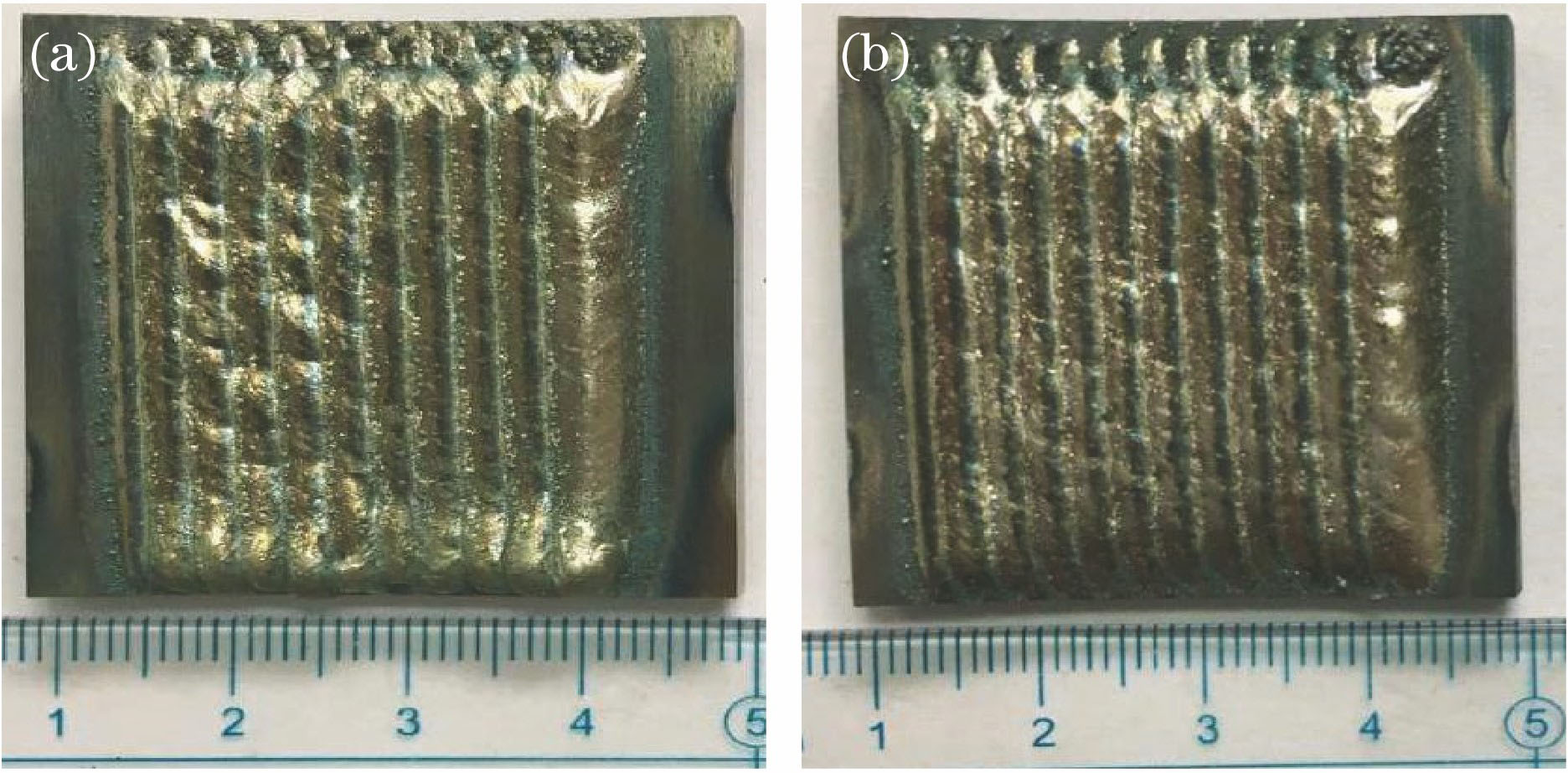 Laser cladding of Co-based cladding samples. (a) Without magnetic field; (b) with magnetic field