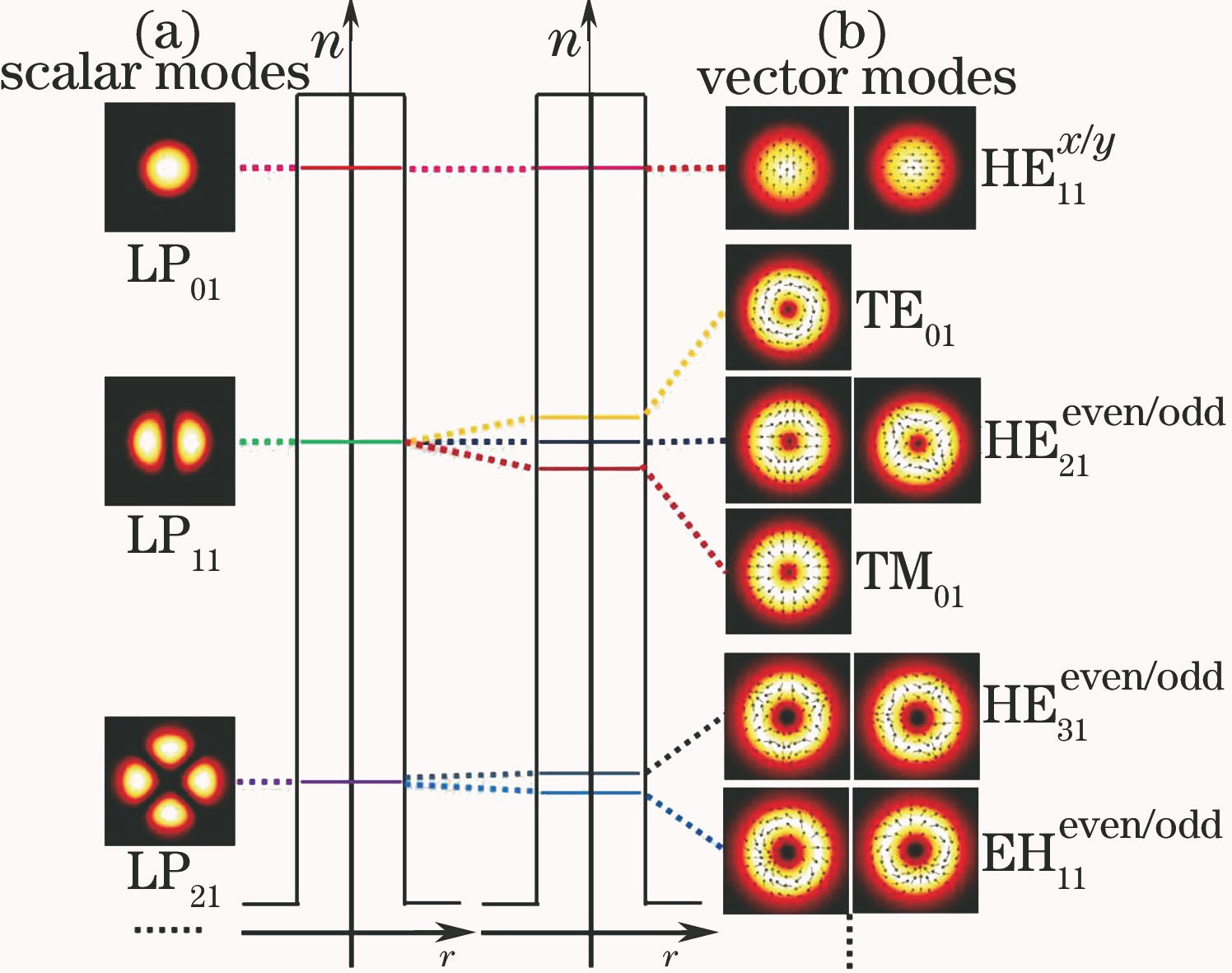 Few-mode fiber[24]. (a) Transverse mode field intensity and effective refractive index in scalar mode; (b) transverse mode field intensity, polarization and effective refractive index in vector mode
