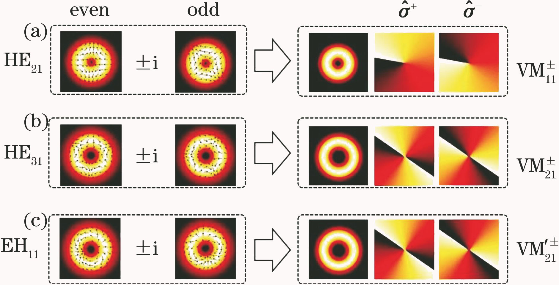 Numerical simulation results of vortex light field generation by superposition of three strict degenerate high-order vector modes[24]. (a) HE21even/odd; (b) HE31even/odd; (c) EH11even/odd