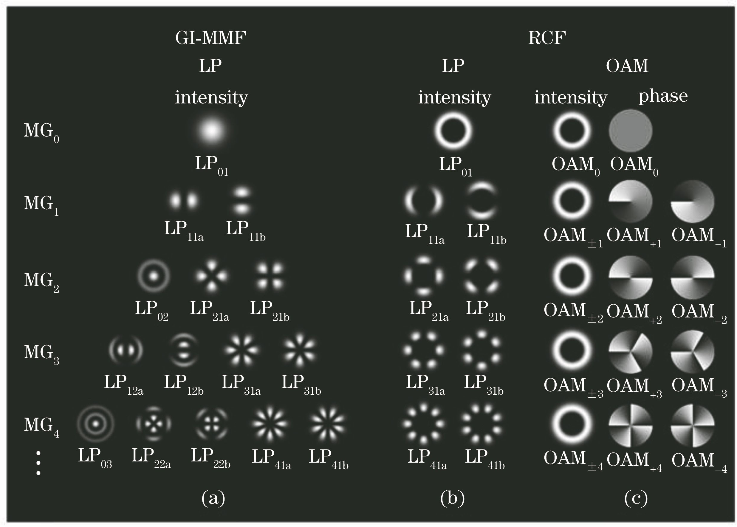 Schematics of modes in each MG for gradient-type refractive index multimode fiber and radial first-order ring-core fiber. (a) Intensity of LP modes in each MG for GI-MMF; (b) intensity of LP modes in each MG for RCF; (c) intensity and phase of OAM modes in each MG for RCF[18]