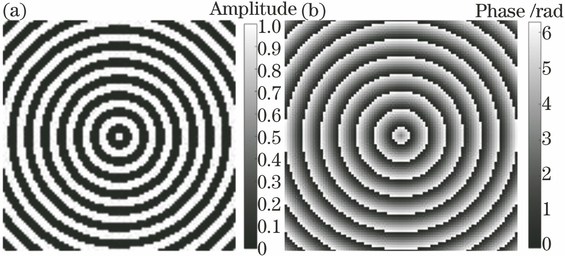 (a) Annular amplitude grating; (b) annular phase grating