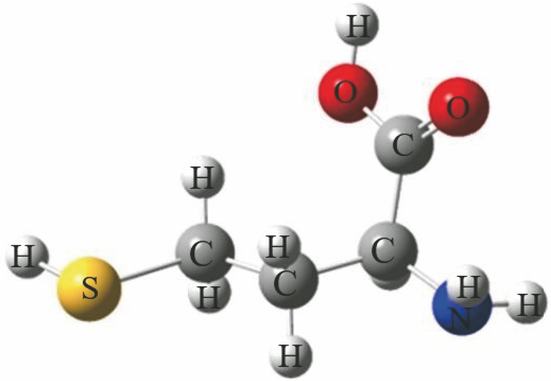 Molecular structural model of homocysteine