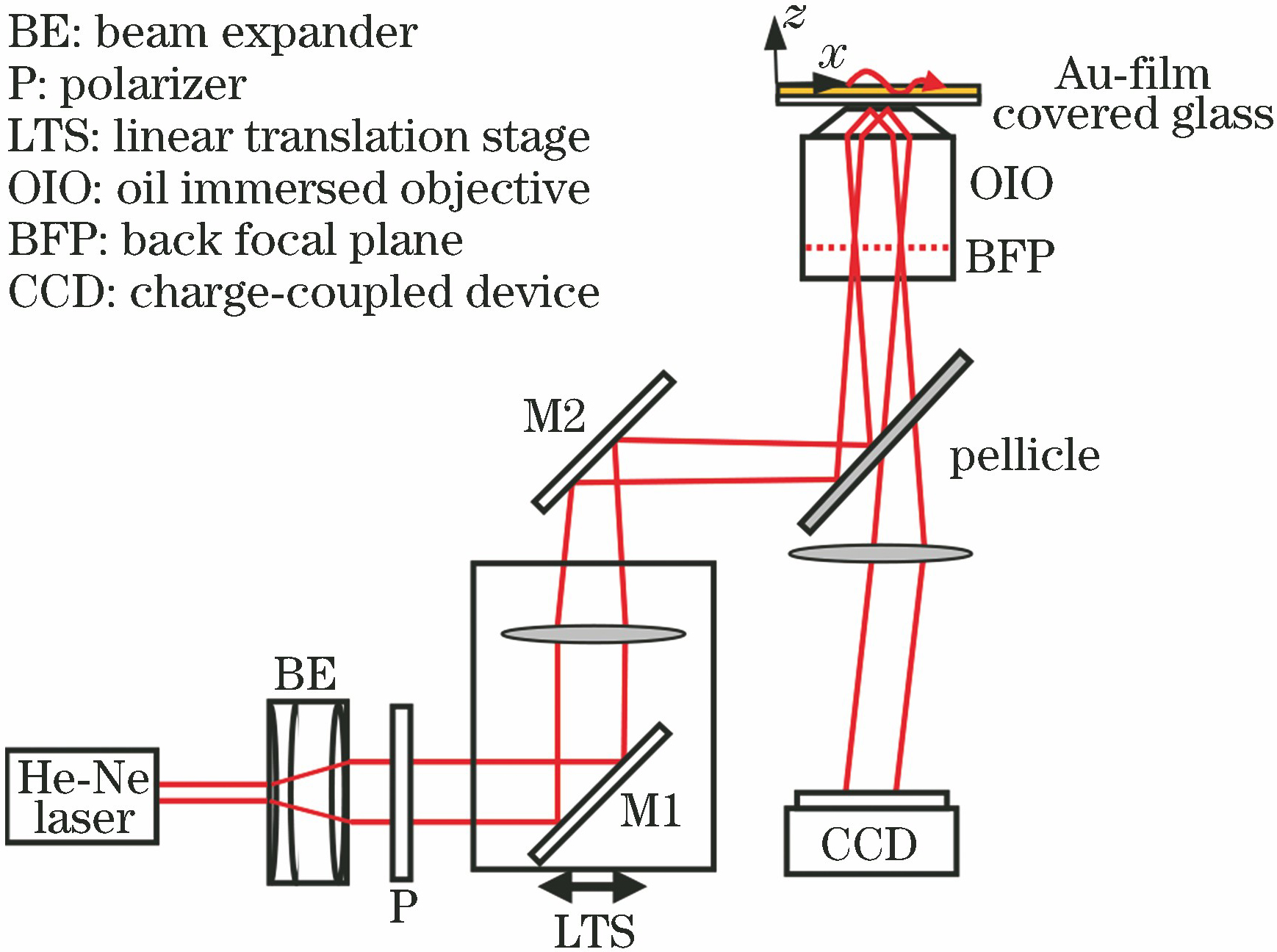 Schematic of optical path of SPP microscopic imaging