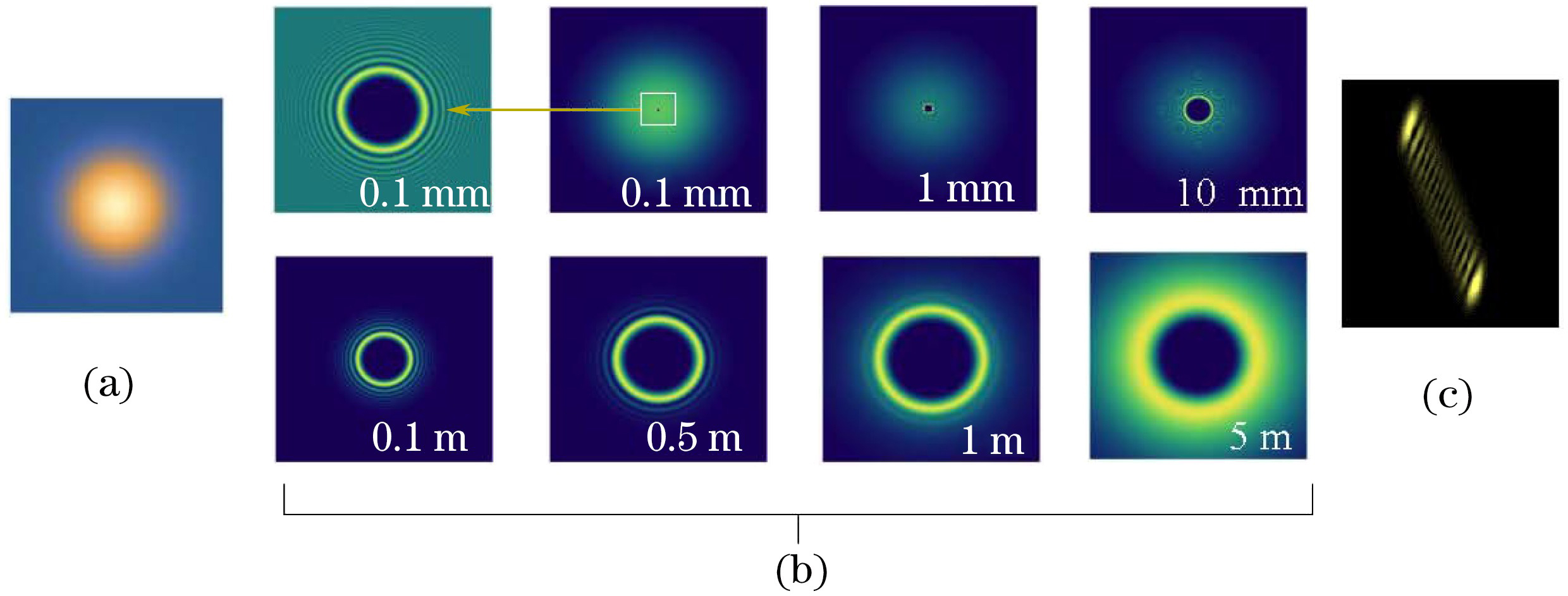 Evolutionary propagation of wave source frequency doubling light and topological charge detection. (a) OAM wave source (fundamental frequency light); (b) propagation and evolution of transverse structure of frequency doubling light; (c) detection results of topological charges by inclined lens method