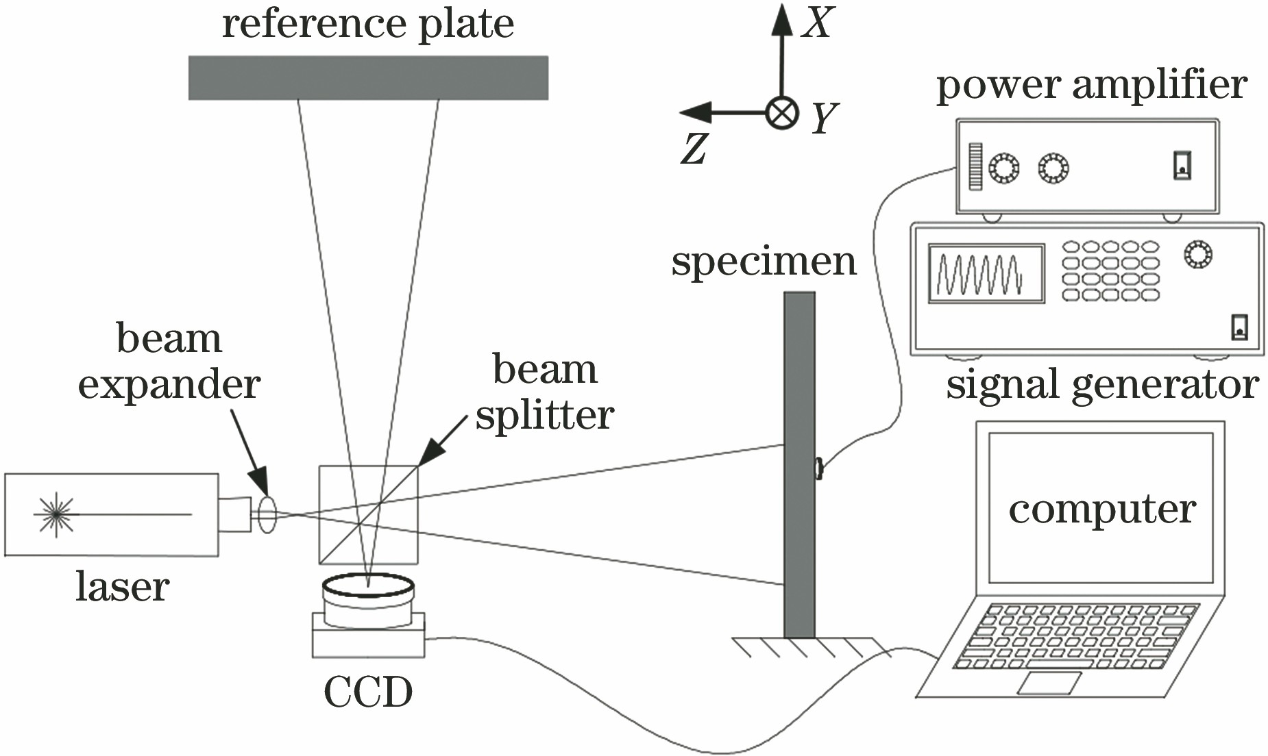 Schematic of out-of-plane movement detection system